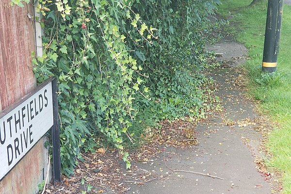 The paventment on Southfields Drive which has significantly overgrown The paventment on Southfields Drive which has significantly overgrown