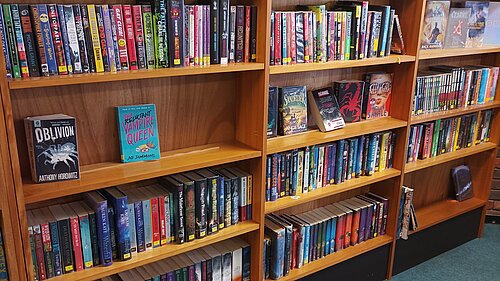 Library bookshelves (teen fiction)